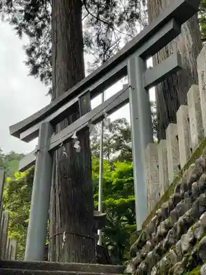 九頭龍神社(東京都)