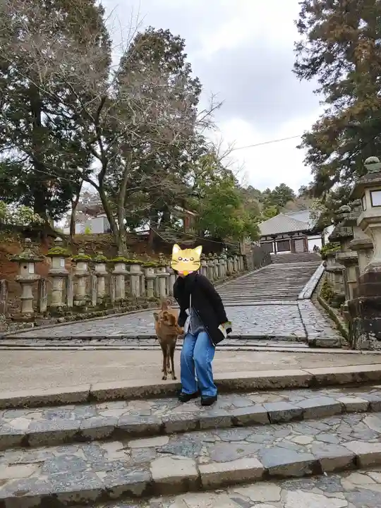 東大寺 二月堂(奈良県)