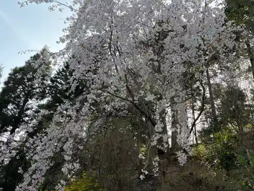 忉利天上寺(兵庫県)