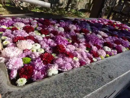 横浜　西方寺の手水舎