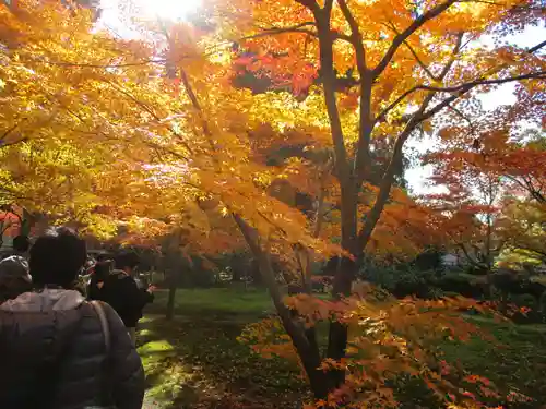 三千院門跡の景色