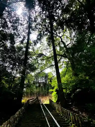 久米熊野座神社の建物その他