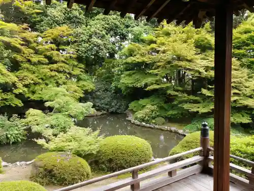 隨心院（随心院）の庭園