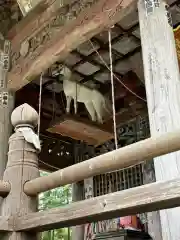 慈光寺(埼玉県)