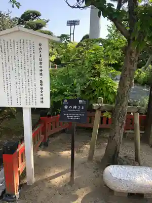 白山神社(新潟県)