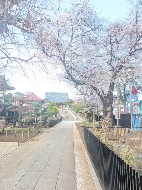 東福寺(東京都)