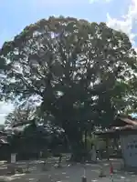 現人神社の自然