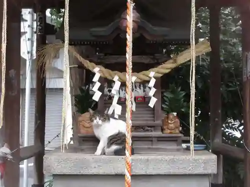 草分稲荷神社の動物