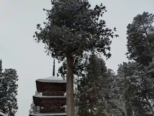 若一王子神社(長野県)