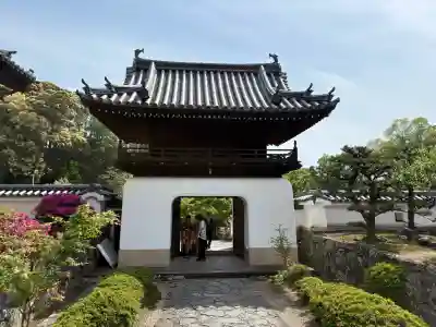 興聖寺（興聖寶林禅寺）の{uncategorized: "未分類", other: "その他", undefined: "問題あり", building: "その他建物", grave: "お墓", sacred_gate: "鳥居", guardian: "狛犬", statue: "像", buddha: "仏像", history: "歴史", nature: "自然", garden: "庭園", animal: "動物", pagoda: "塔", temizu: "手水舎", mountain_gate: "山門・神門", sanctuary: "本殿・本堂", subordinate: "末社・摂社", art: "芸術", scenery: "景色", jizo: "地蔵", ema: "絵馬", goshuin: "御朱印", omikuji: "おみくじ", items: "授与品その他", amulet: "お守り", goshuincho: "御朱印帳", eats: "食事", festival: "お祭り", votive_dance: "神楽", shichigosan: "七五三参", wedding: "結婚式", experience: "体験その他", initially: "初詣", around: "周辺", anti_infection: "感染症対策"}