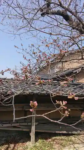 大平八幡宮の自然