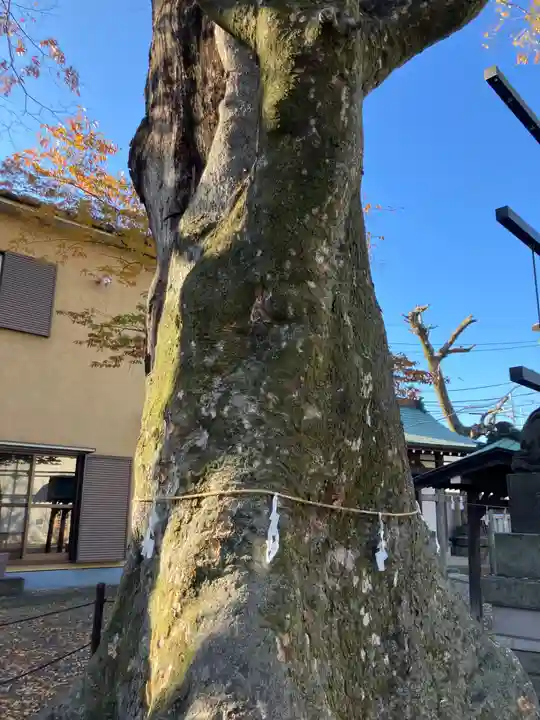 是政八幡神社(東京都)