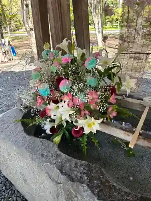 彌彦神社　(伊夜日子神社)の手水舎