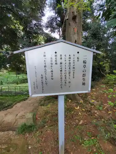 野木神社の歴史