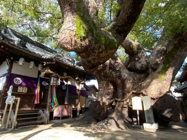 三島神社の自然