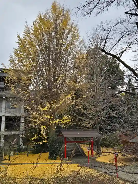 菅原神社(東京都)