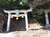 八幡神社(福井県)