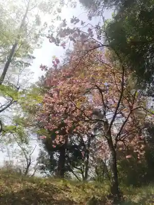 八幡神社(福島県)
