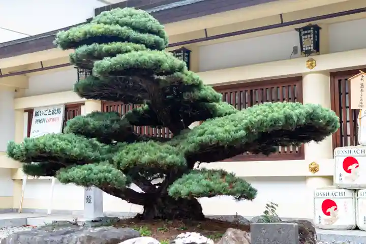 愛知縣護國神社(愛知県)