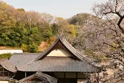 掌禅寺(愛媛県)