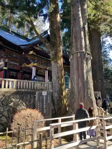 三峯神社(埼玉県)