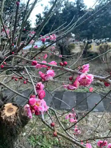 穴原薬師堂(群馬県)