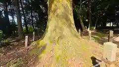 川俣神社(三重県)