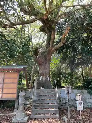 鏡神社の自然