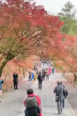 南禅寺の自然