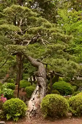 恵林寺(山梨県)