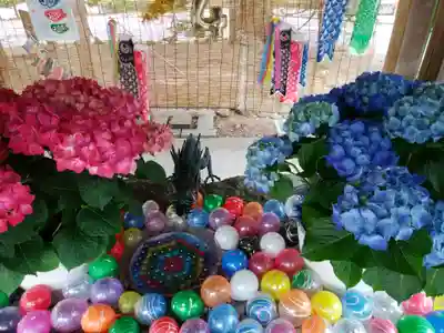 琴似神社(北海道)