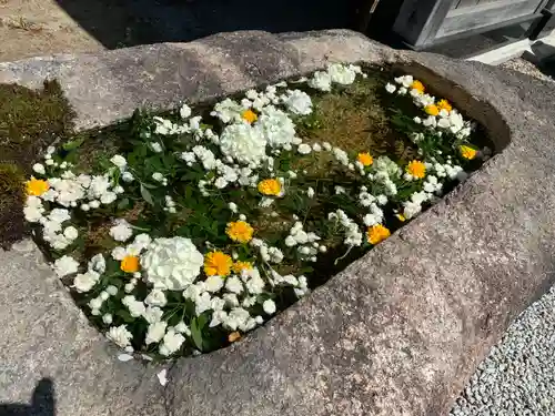 大聖護国寺(群馬県)