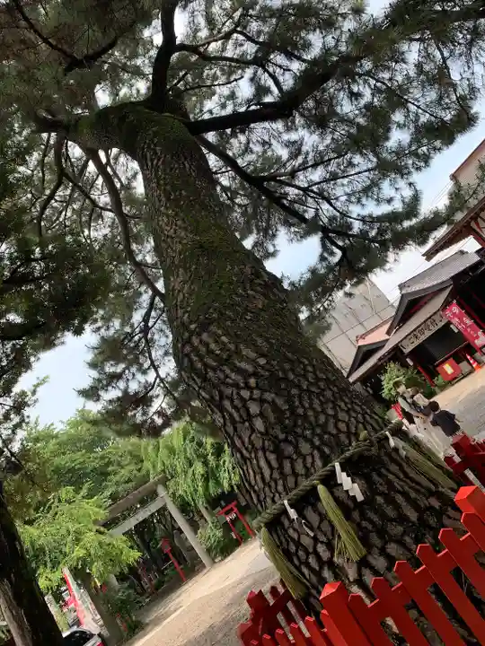 鴻神社の自然