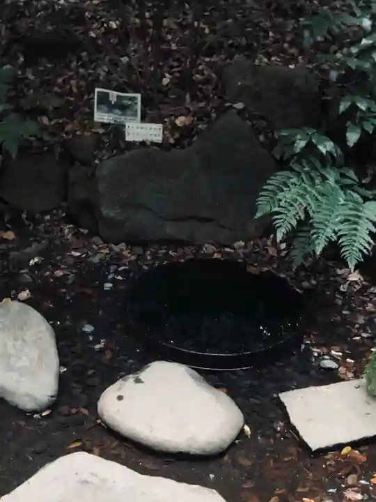 明治神宮(東京都)