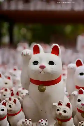 豪徳寺(東京都)