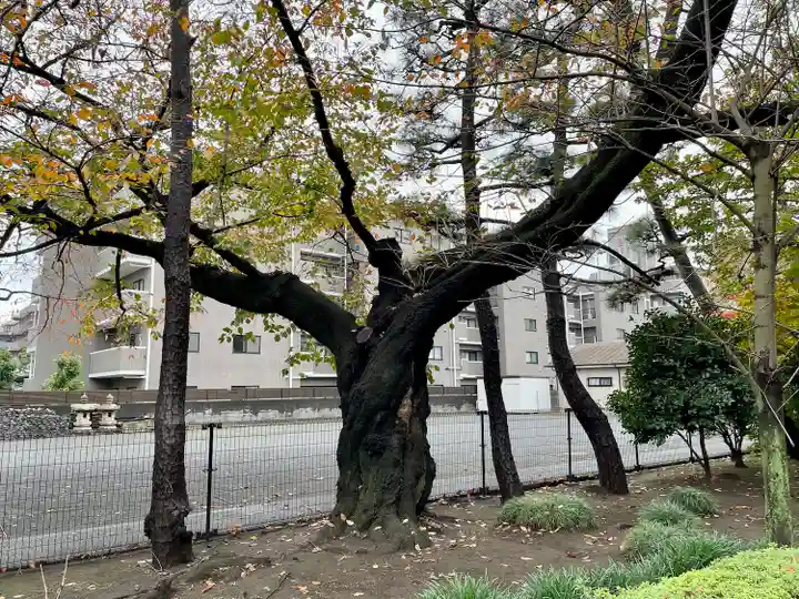 大正寺(東京都)