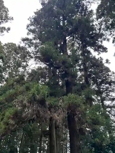 大宮温泉神社(栃木県)