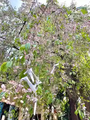 大星神社(青森県)