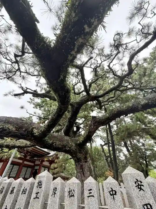浜宮天神社(兵庫県)