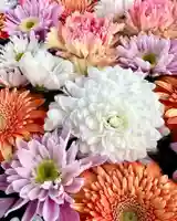 鹿島台神社の手水舎