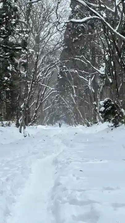 戸隠神社奥社の{uncategorized: "未分類", other: "その他", undefined: "問題あり", building: "その他建物", grave: "お墓", sacred_gate: "鳥居", guardian: "狛犬", statue: "像", buddha: "仏像", history: "歴史", nature: "自然", garden: "庭園", animal: "動物", pagoda: "塔", temizu: "手水舎", mountain_gate: "山門・神門", sanctuary: "本殿・本堂", subordinate: "末社・摂社", art: "芸術", scenery: "景色", jizo: "地蔵", ema: "絵馬", goshuin: "御朱印", omikuji: "おみくじ", items: "授与品その他", amulet: "お守り", goshuincho: "御朱印帳", eats: "食事", festival: "お祭り", votive_dance: "神楽", shichigosan: "七五三参", wedding: "結婚式", experience: "体験その他", initially: "初詣", around: "周辺", anti_infection: "感染症対策"}