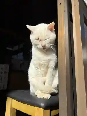 宝寿院(愛知県)