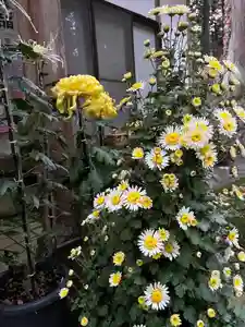 大宮温泉神社(栃木県)(2023年11月09日(木) 16時10分21秒投稿)