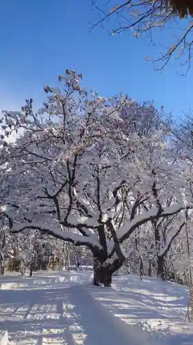 相馬神社の自然