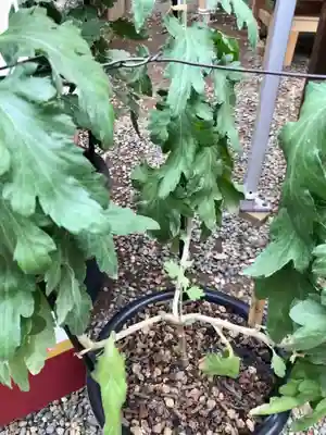 検見川神社のその他建物