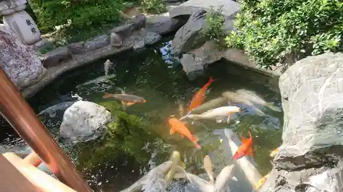 尾張猿田彦神社の庭園