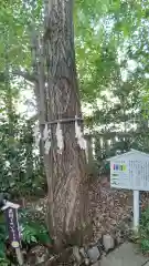 行田八幡神社(埼玉県)