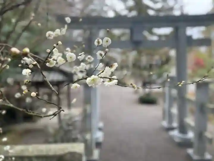 川田神社の{uncategorized: "未分類", other: "その他", undefined: "問題あり", building: "その他建物", grave: "お墓", sacred_gate: "鳥居", guardian: "狛犬", statue: "像", buddha: "仏像", history: "歴史", nature: "自然", garden: "庭園", animal: "動物", pagoda: "塔", temizu: "手水舎", mountain_gate: "山門・神門", sanctuary: "本殿・本堂", subordinate: "末社・摂社", art: "芸術", scenery: "景色", jizo: "地蔵", ema: "絵馬", goshuin: "御朱印", omikuji: "おみくじ", items: "授与品その他", amulet: "お守り", goshuincho: "御朱印帳", eats: "食事", festival: "お祭り", votive_dance: "神楽", shichigosan: "七五三参", wedding: "結婚式", experience: "体験その他", initially: "初詣", around: "周辺", anti_infection: "感染症対策"}