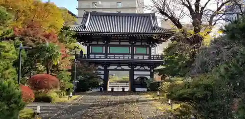 青松寺の山門