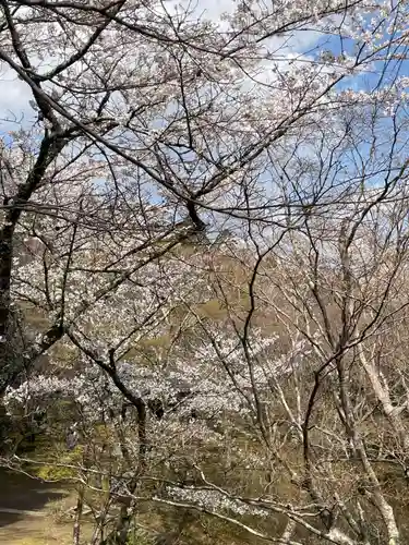 勝持寺（花の寺）(京都府)
